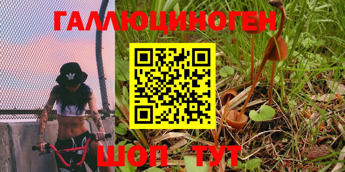 Псилоцибиновые грибы мухоморы Коряжма