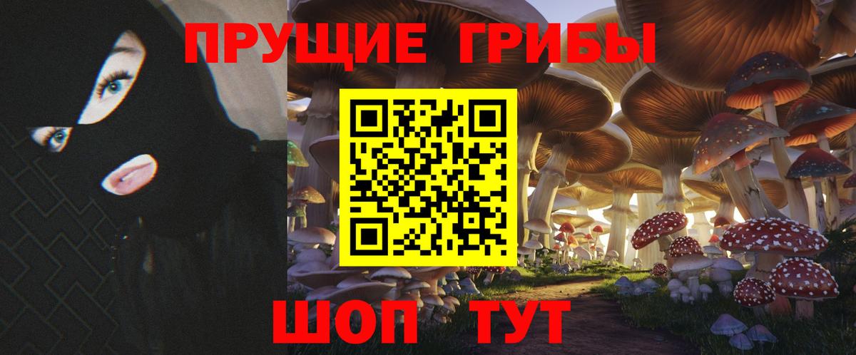 Коряжма  Галлюциногенные грибы MAGIC MUSHROOMS  Вход с VPN 